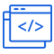 CMS Development Services